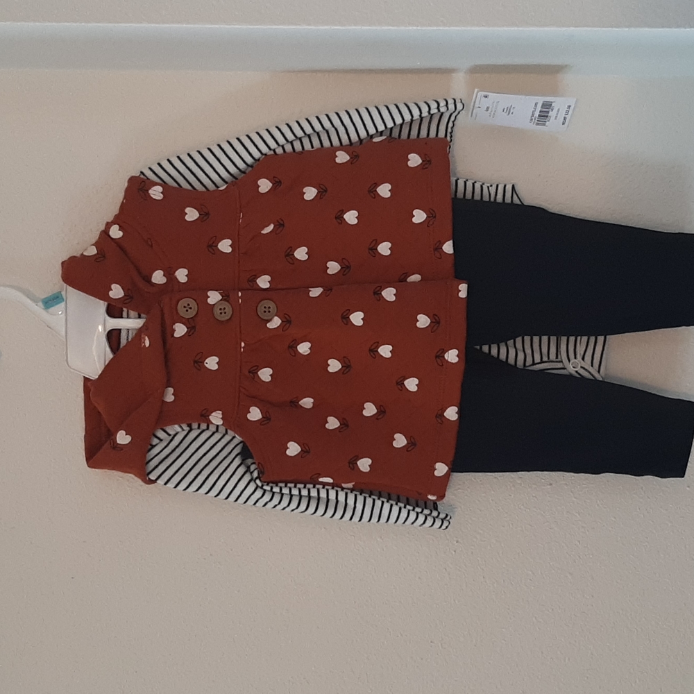 Carters 6mo girl outfit